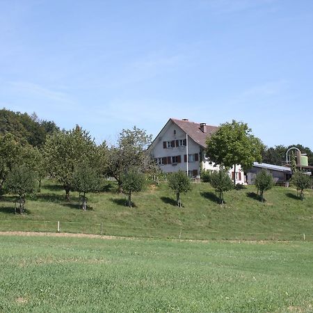 瓦尔德霍夫住宿加早餐旅馆 Bachenbulach 外观 照片