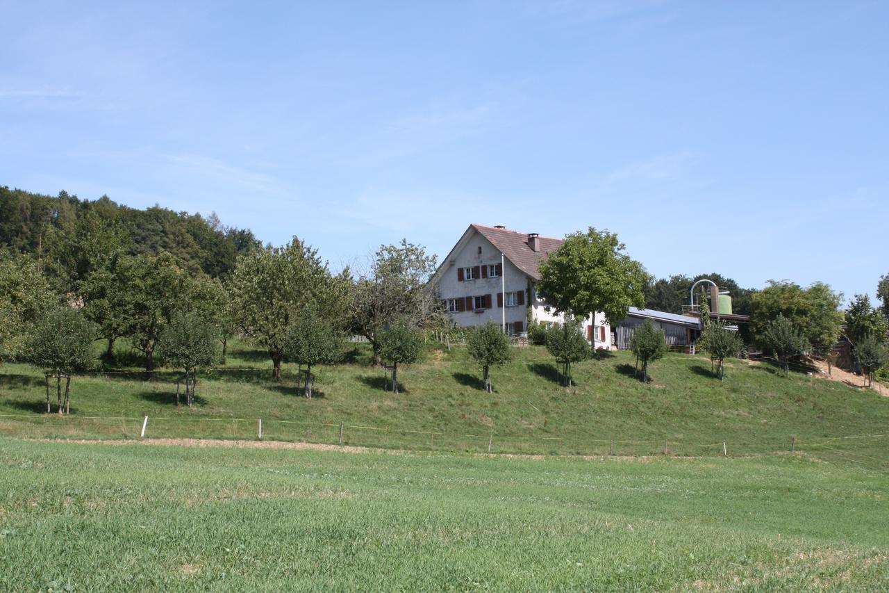 瓦尔德霍夫住宿加早餐旅馆 Bachenbulach 外观 照片
